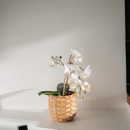 Appartement Cosy Rer C Direct Paris Et Tour Eiffel *